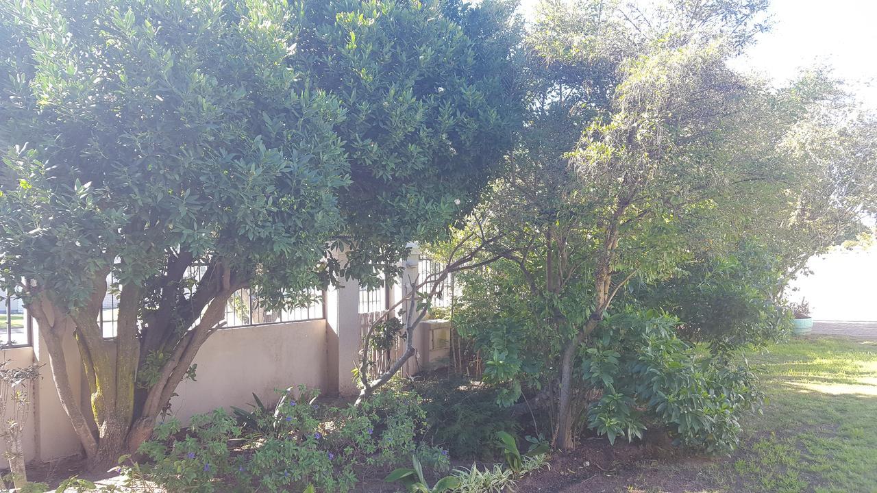 Blu Bed & Breakfast Port Elizabeth Eksteriør billede