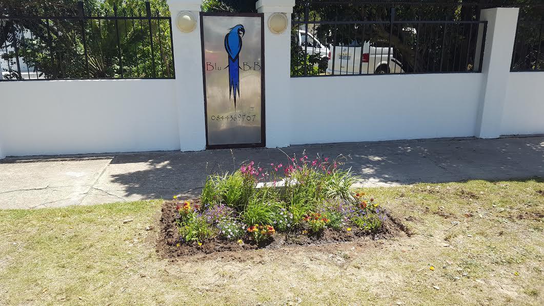 Blu Bed & Breakfast Port Elizabeth Eksteriør billede